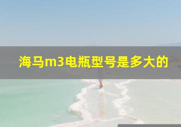 海马m3电瓶型号是多大的