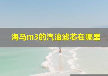 海马m3的汽油滤芯在哪里