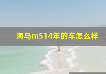 海马m514年的车怎么样