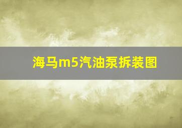 海马m5汽油泵拆装图