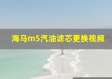 海马m5汽油滤芯更换视频