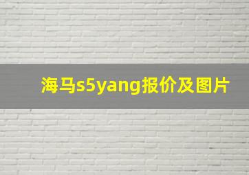 海马s5yang报价及图片