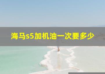 海马s5加机油一次要多少