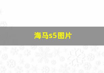 海马s5图片