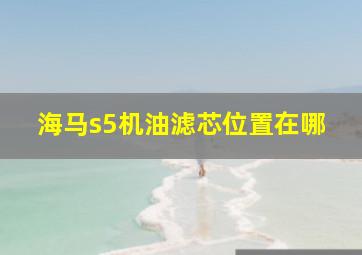 海马s5机油滤芯位置在哪