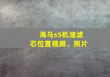 海马s5机油滤芯位置视频、照片