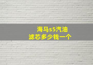 海马s5汽油滤芯多少钱一个