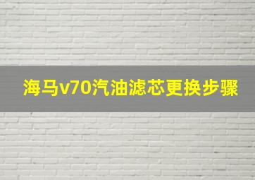 海马v70汽油滤芯更换步骤