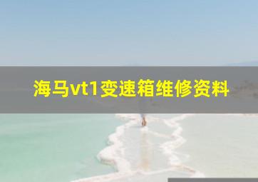 海马vt1变速箱维修资料