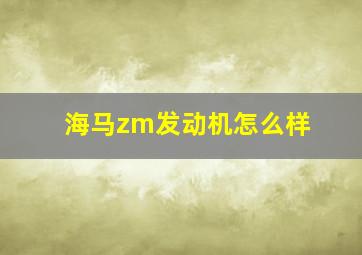 海马zm发动机怎么样