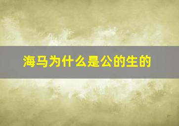 海马为什么是公的生的