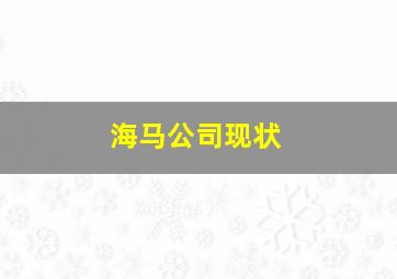 海马公司现状