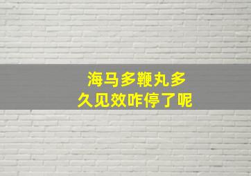 海马多鞭丸多久见效咋停了呢