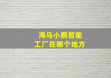 海马小鹏智能工厂在哪个地方