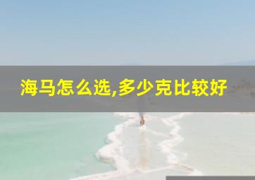 海马怎么选,多少克比较好