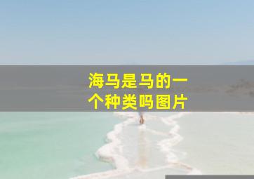 海马是马的一个种类吗图片