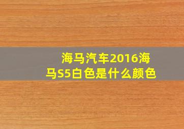 海马汽车2016海马S5白色是什么颜色