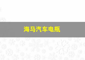 海马汽车电瓶