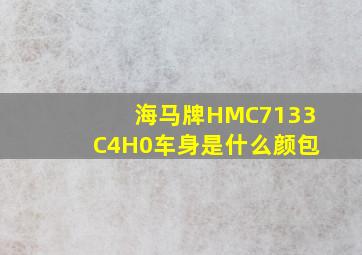 海马牌HMC7133C4H0车身是什么颜包