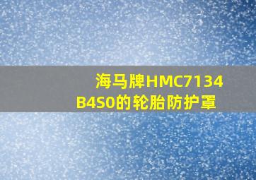 海马牌HMC7134B4S0的轮胎防护罩