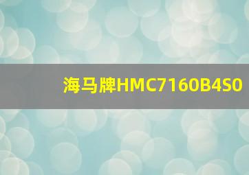 海马牌HMC7160B4S0