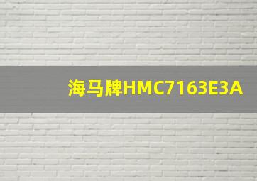 海马牌HMC7163E3A