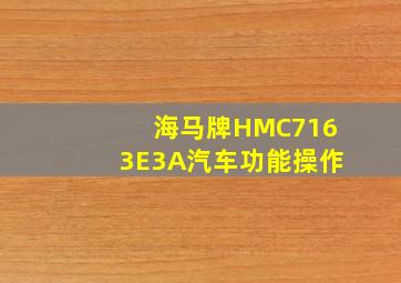 海马牌HMC7163E3A汽车功能操作