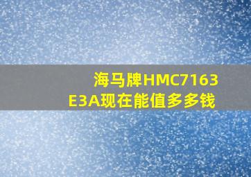 海马牌HMC7163E3A现在能值多多钱