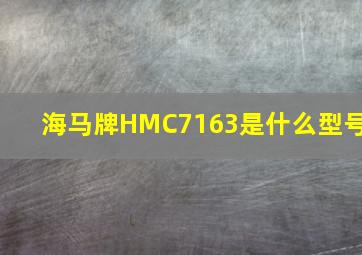 海马牌HMC7163是什么型号