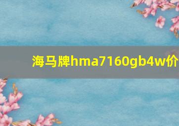 海马牌hma7160gb4w价位