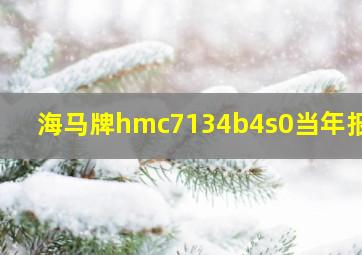 海马牌hmc7134b4s0当年报价