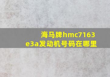 海马牌hmc7163e3a发动机号码在哪里