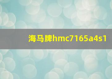 海马牌hmc7165a4s1