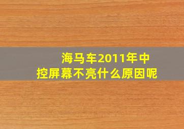 海马车2011年中控屏幕不亮什么原因呢