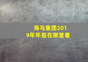 海马集团2019年年报在哪里看