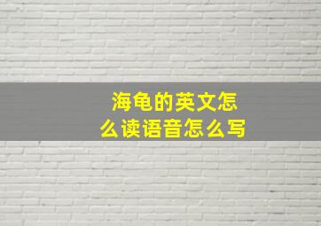 海龟的英文怎么读语音怎么写