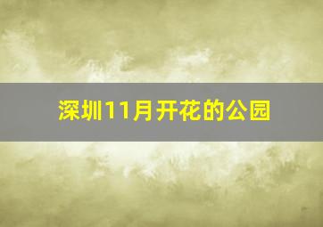 深圳11月开花的公园