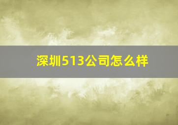 深圳513公司怎么样