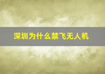 深圳为什么禁飞无人机