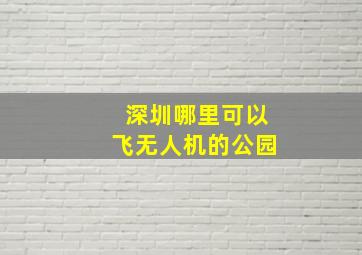 深圳哪里可以飞无人机的公园