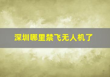 深圳哪里禁飞无人机了