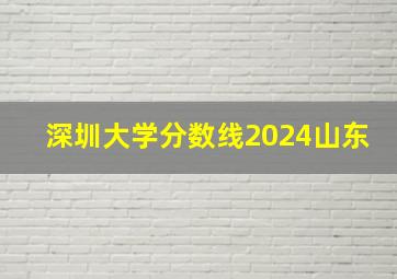 深圳大学分数线2024山东