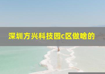 深圳方兴科技园c区做啥的