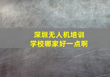 深圳无人机培训学校哪家好一点啊