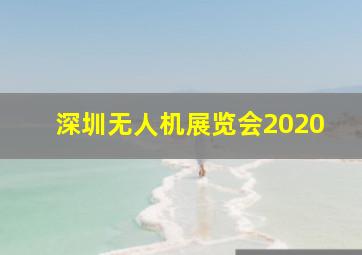 深圳无人机展览会2020