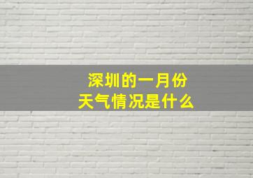 深圳的一月份天气情况是什么