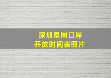 深圳皇岗口岸开放时间表图片