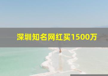 深圳知名网红买1500万