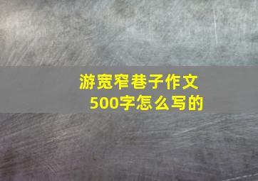 游宽窄巷子作文500字怎么写的