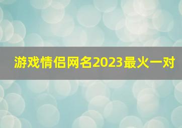 游戏情侣网名2023最火一对